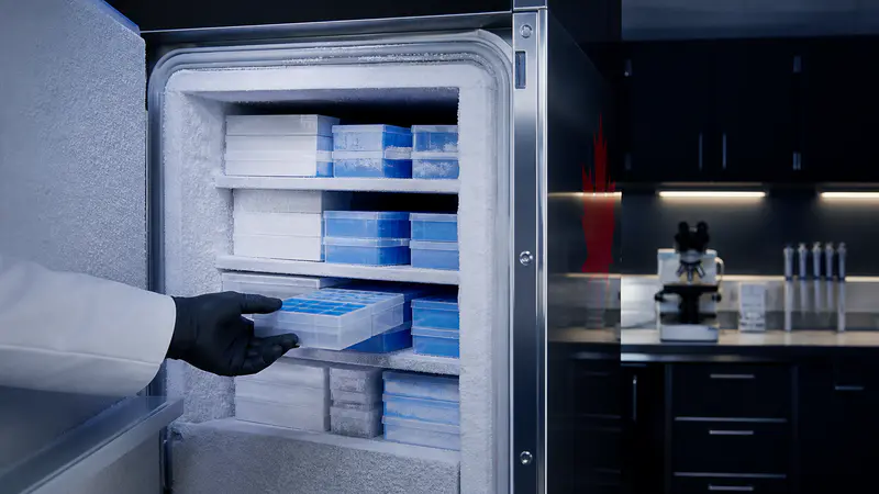 Editorial laboratory scene for Peptide storage: the temperature guide for research-grade reference standards.